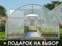 Теплица «УСИЛЕННАЯ ПЛЮС»