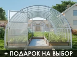 Теплица «УСИЛЕННАЯ» 3м Теплица «УСИЛЕННАЯ» 3м
